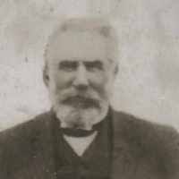 Arnold Richard Wallis (1846–1941)