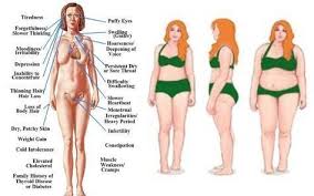 The 3 Forgotten Thyroid Diet Principles Hypothyroidism Diet Thyroid Diet Thyroid Health