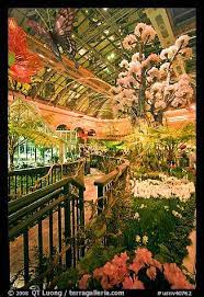 Botanical Garden And Conservatory With Green Light Bellagio Casino Las Vegas Nevada Usa Botanical Gardens Vegas Attractions Bellagio Las Vegas