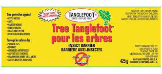 Tanglefoot is a long used and old fashioned remedy. Tree Tanglefoot Insect Barrier Tub 425g Walmart Canada