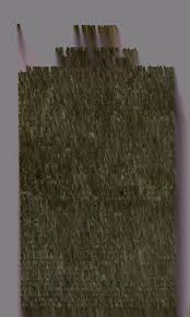 Image result for Basananthe apetala