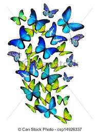 RÃ©sultat de recherche d'images pour "dessins papillons"