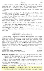 Image result for Arthraxon lancifolius