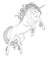 Principessa su unicorno disegno da stampare e da colorare gratis 177 x 250 png pixel. Pagine Da Colorare Con Unicorni 100 Immagini In Bianco E Nero