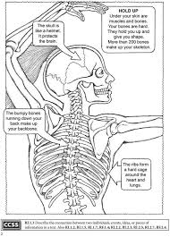 The backbone is made of 33bones. Welcome To Dover Publications Boost My First Human Body Coloring Book Great Images Could Use The Human Body Science Human Body Systems Human Body Unit Study