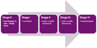 This describes how similar a cancer cell is to a normal cell. File Cancer Stages Png Wikipedia