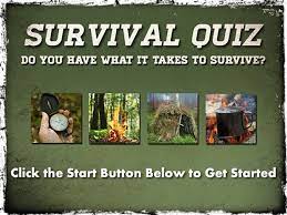This covers everything from disney, to harry potter, and even emma stone movies, so get ready. Survival Quiz Do You Have What It Takes To Survive In The Wilderness