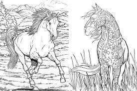 You can learn more abo. Free Horse Coloring Pages For Adults Kids Cowgirl Magazine