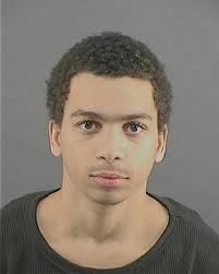 ᐅ Illinois Criminal Records 2009-2025