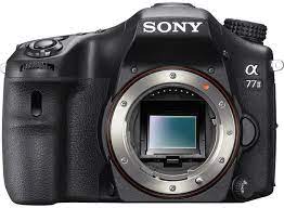 How To Choose The Best Camera For Wildlife Photography Alc In 2020 Digital Slr Camera Digital Slr Sony Digital Camera