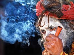 Smoking causes damage to the scalp and hair follicles in two major ways: Cannabis Is No More Dangerous Than Alcohol Or Tobacco Times Of India