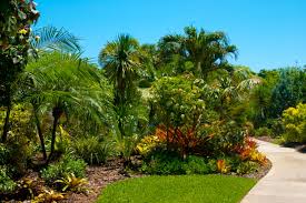 A beautiful botanical garden with cascading waterfalls, 50+ garden displays, koi ponds, and countless breathtaking views! Mounts Botanical Garden Florida Hikes