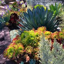 Hillside nursery has been a part of wichita for nearly 100 years; San Anselmo Hillside Sanctuary Garden Dig Your Garden Landscape Design