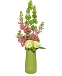 Maybe you would like to learn more about one of these? Lime Sorbet Bouquet Bouquet In Henderson Nv T G I Flowers
