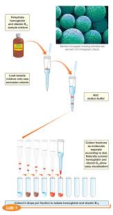 size exclusion chromatography kit life science education