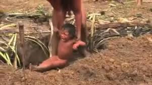 Resultado de imagem para IMAGENS DO INDIO SURUWAHA