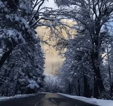 Add absolutely amazing photos only! Nature Is Absolutely Amazing 25 Gifs Izismile Com