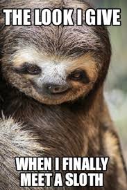 Make your own images with our meme generator or animated gif maker. Meme Creator Sloth Meme Generator At Memecreator Org