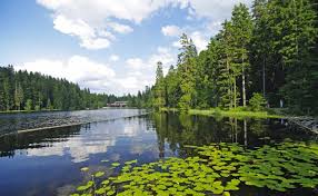 Dichte wälder und bergige höhen kennzeichnen hier das. Die Schonsten Stadte Und Urlaubsorte Im Bayerischen Wald