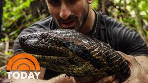 Eaten Alive By Anaconda Why I Did It Today Youtube