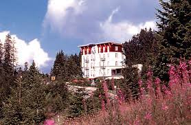 vch hotel waldhotel am notschrei todtnau schwarzwald deutschland germany www vch ch waldhotel black forest forest hotel