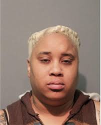 ᐅ Illinois Criminal Records 2009-2025