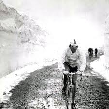 Vittorio Adorni On The Stelvio At The Giro D Italia Viva La Real Tour From Velominati Cycling Art Pro Cycling Giro D Italia