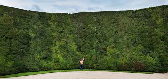 I kendall todd am here cutting tall grass type stuff. Photo Of The Week Trimming The World S Biggest Yew Hedge Is A Righteous Pain Wired