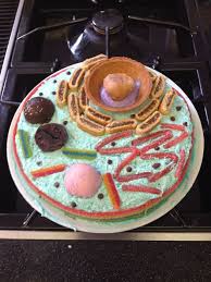 While animal cells come in various sizes and tend to have irregular shapes, plant cells are more. Animal Cell 3d Model Cake Novocom Top