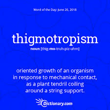 Thigmotropism Palabra Del Dia Palabras Vocabulario