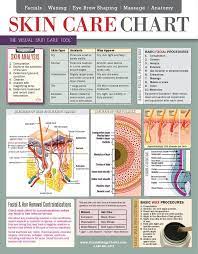 Skin Care Chart 2 Sided Laminated Quick Reference Guide Cosmetology Charts Skin Care Secrets Aging Skin Care Natural Skin Care