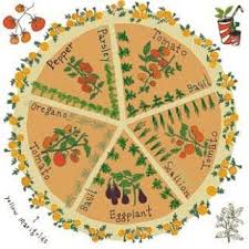 Serenity In The Garden Grow A Pizza Garden Childrens Gardening Gardening For Kids School Garden