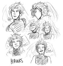 Start off with a pencil sketch. Viz On Twitter Trying To Figure Out How To Draw Hawks Bnha Mha Hawks