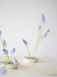 Pin On Floral Art
