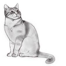 Dessin rigolo dessin stylisé diy dessin dessin chat dessin enfant dessin kawaii dessins minimalistes dessins simples petits dessins. Comment Dessiner Un Chat Blog Dessindigo