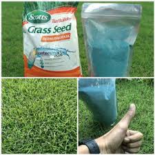 Harga rumput gajah mini permeternya cukup murah di bandingkan rumput lain seperti rumput golf, rumput swiss, rumput babat, rumput gajah mini varigata, rumput bermuda, rumput jepang, dan yang lainnya. Harga Rumput Gajah Mini Per Murah Terbaru 2021 Hargano Com
