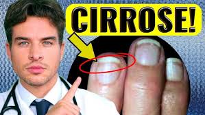 Dagramas levou a Capão do Leão soluções em tecnologia, manejos, biologia e  nutrição