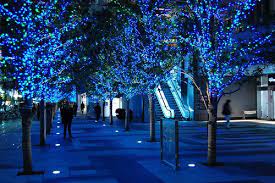 Blue Trees Blue Tree Blue Christmas Lights Blue Christmas