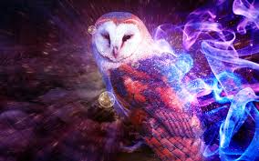 Galatic santa fantasy art wallpaper. Fantasy Owl Owls Wallpaper 40623461 Fanpop Page 10