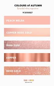 Autumn Color 2019 Metallic Color Palettte Rose Gold Copper Peach Melba Color Metall Gold Wedding Colors Rose Gold Color Palette Wedding Rose Gold Theme