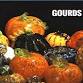 Gourd'gous Glass Pumpkin Patch event in Tomball, TX