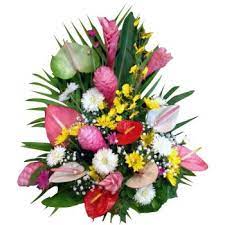 For same day delivery, please ensure we receive your order by 3 p.m. Flower Delivery Dominican Republic Online Florist Dominican Republic