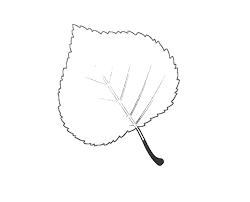 Eine tolle idee für wände, platten als hintergrund, türen, schränke. Herbstblatter Vorlage Ideal Zum Ausmalen Und Basteln Vorla Ch