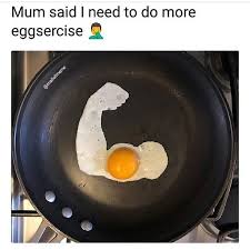 It's true that to make an omelet you need to break a few eggs, but before you start cracking shells,. Gym Memes Eggs Are A Eggsellent Form Of Protein Facebook