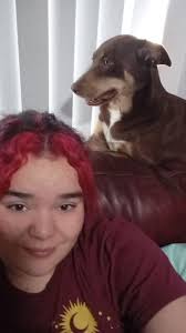 Nov 1 is international pet groomers day My little white dog ( American  Eskimo) must have thought I played a constant game of trick or treat