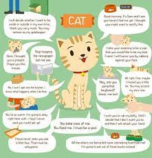Pin On All About Persian Cats