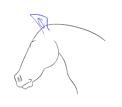 In order to draw a convincing horse, you will first need to know what. How To Draw A Horse S Head Easy Drawing Guides