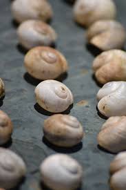 Maybe you would like to learn more about one of these? Makanan Batch Pendekatan Banyak Sehat Diet Nutrisi Camilan Piqsels