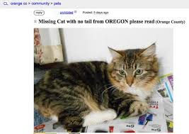 Hide this posting restore restore this posting. Orange County Craigslist Pets Petfinder
