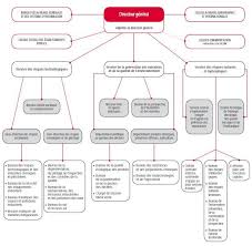 Organigramme Dgpr France